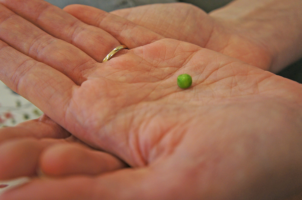 The size of a green pea - on becoming pregnant again after a miscarriage // Fiona Lynne