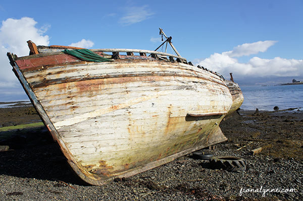 Shipwrecked Boat