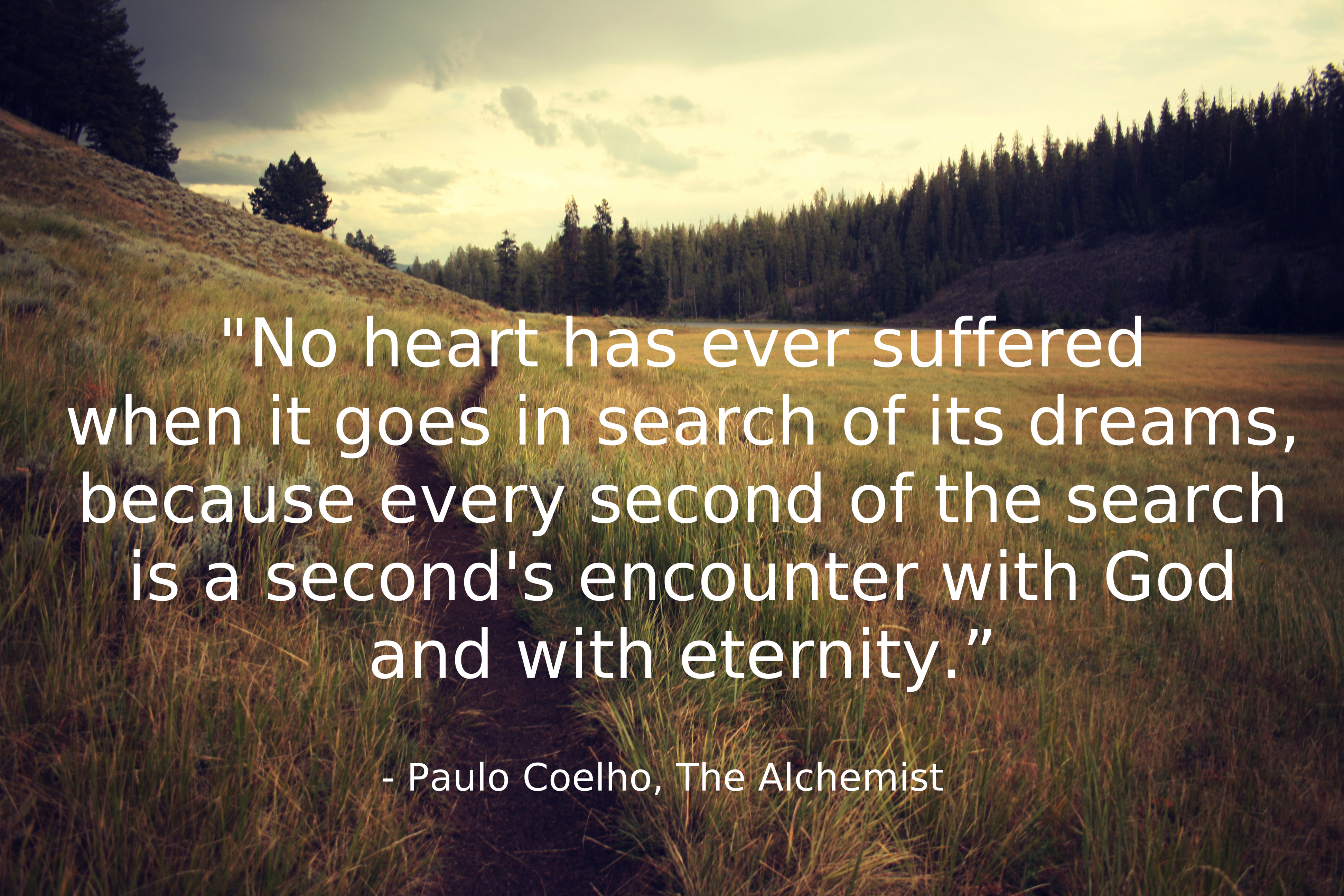 "No heart has ever suffered when it goes in search of its dream,because every second of the search, is a second's encounter with God and with eternity." - Paulo Coelho